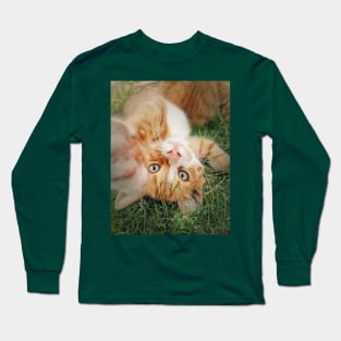 orange kitten lying upside down Long Sleeve T-Shirt